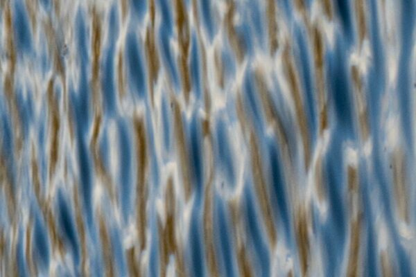 DSC_2463 NATURE EAU_